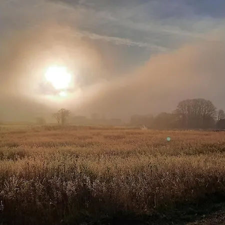 Ruime Woonboerderij, Landelijk Met 3 Fietsen Casa vacanze Kinrooi