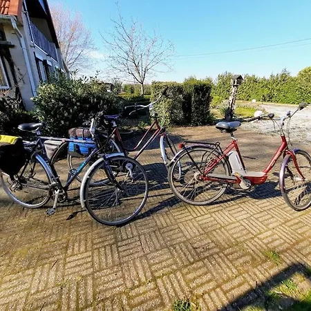 Ruime Woonboerderij, Landelijk Met 3 Fietsen *